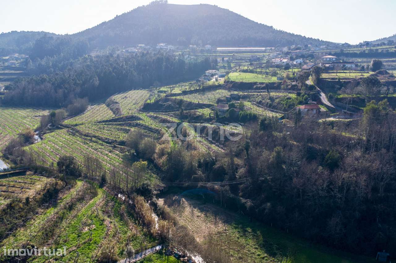 Terreno com moinho para reabilitação em Sardoura - Castelo de Paiva - Grande imagem: 3/20