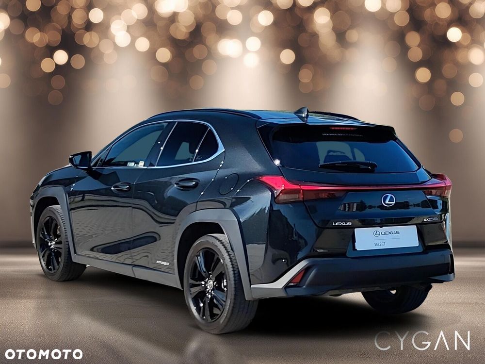 Lexus UX 250h GPF F Impression 2WD - 4