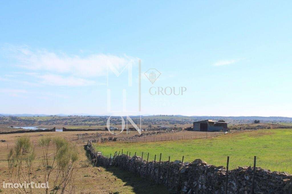 Herdade  com 11,25ha situada na aldeia ribeirinha da Granja, concelho - Grande imagem: 5/21