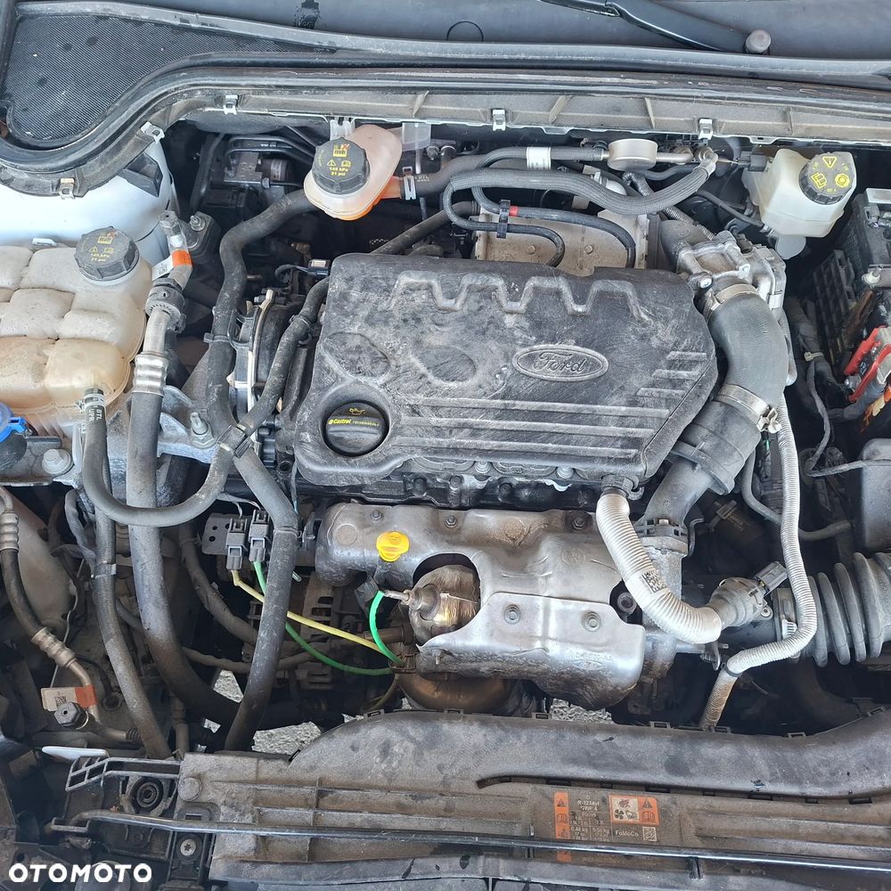 Ford Focus 1.5 EcoBlue Trend - 17