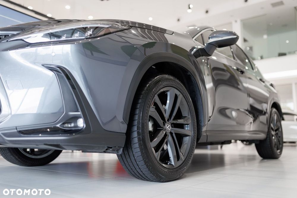 Lexus NX - 15