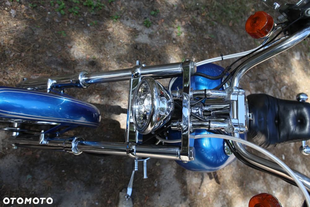 Harley-Davidson Softail - 10