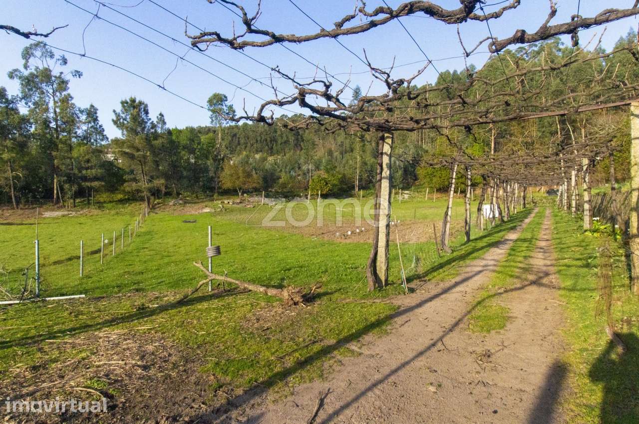 Terreno com 11554 m2 para venda em Portela/V.N. Famalicão - Grande imagem: 3/12