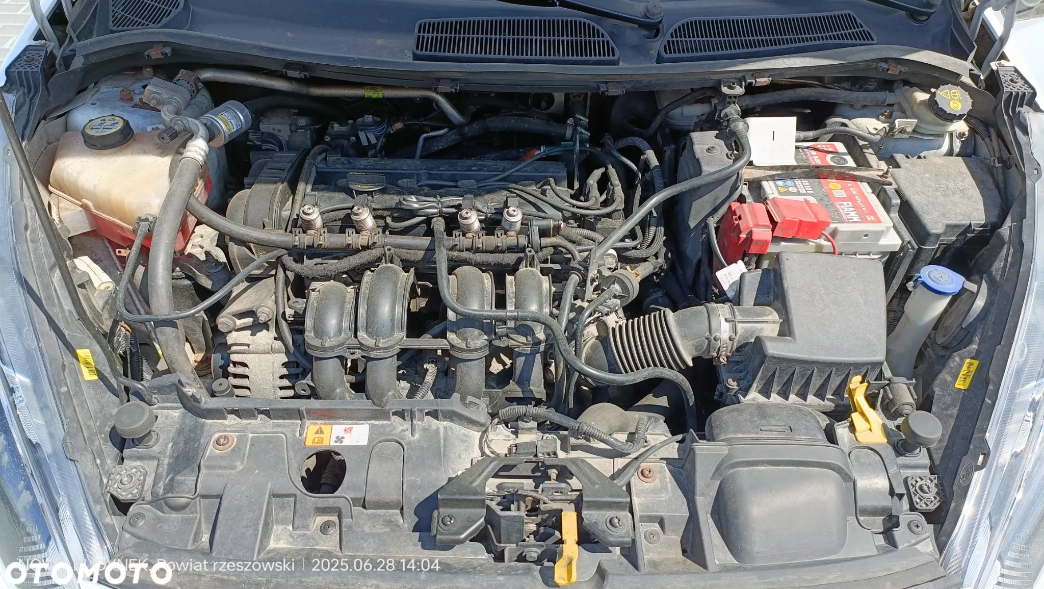 Ford Fiesta - 23