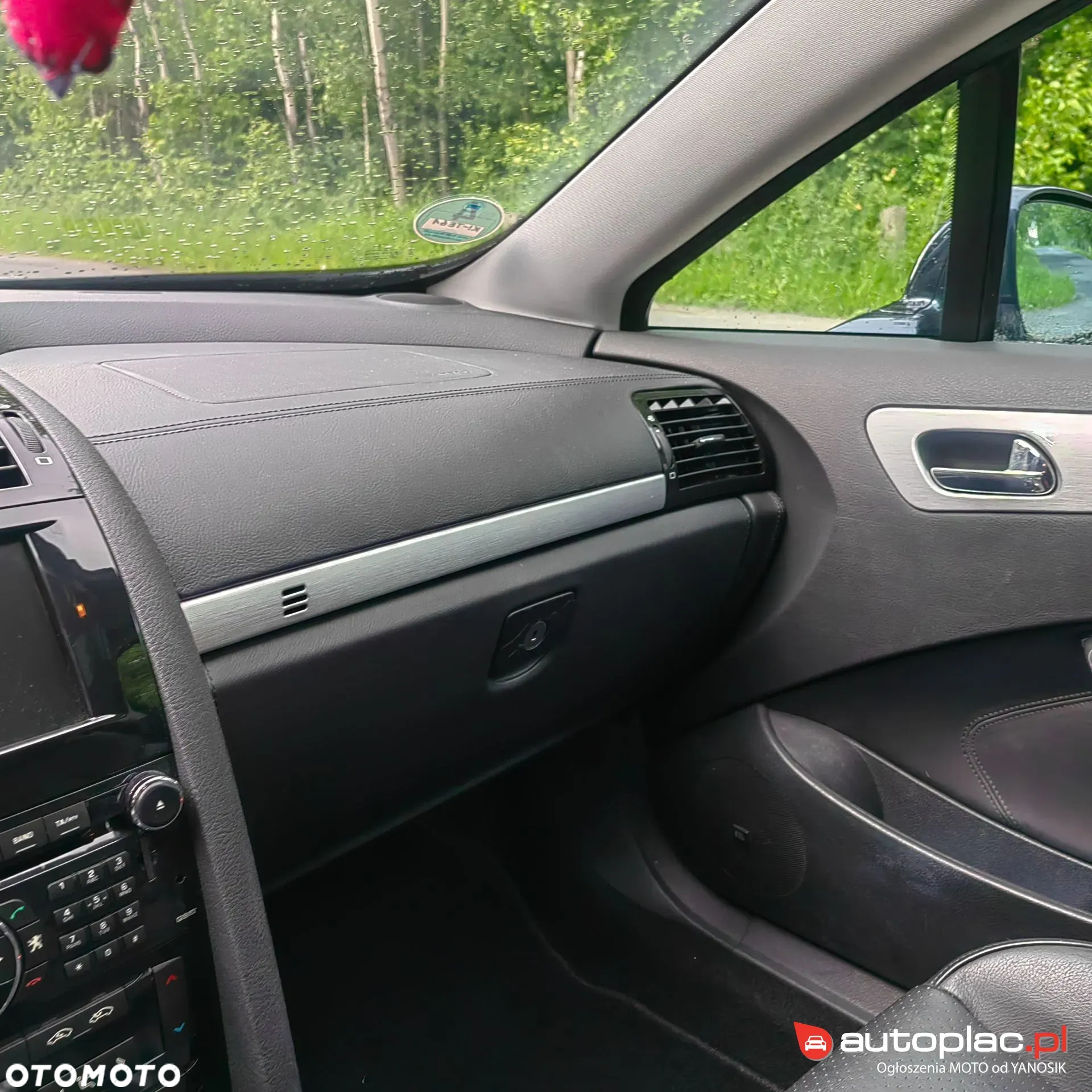Peugeot 407 - 25
