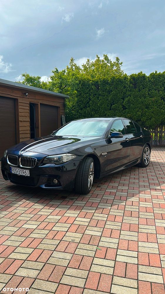 BMW Seria 5 520d xDrive - 23