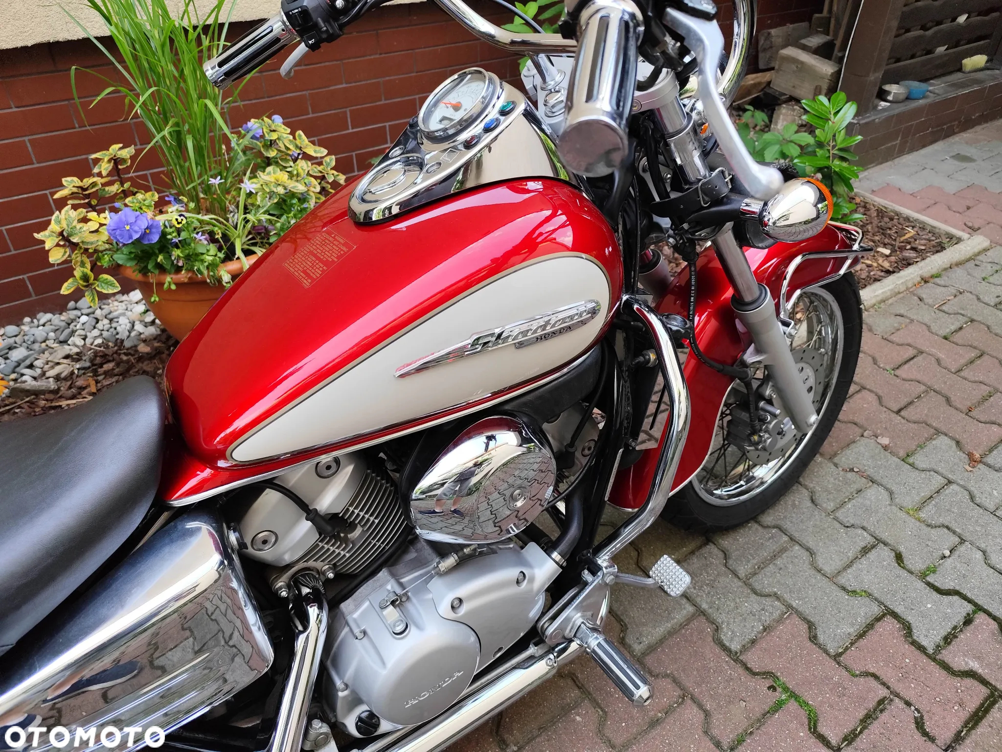Honda Shadow - 11