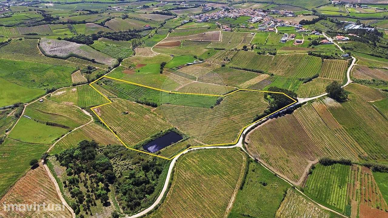 Terreno  para venda - Grande imagem: 5/9