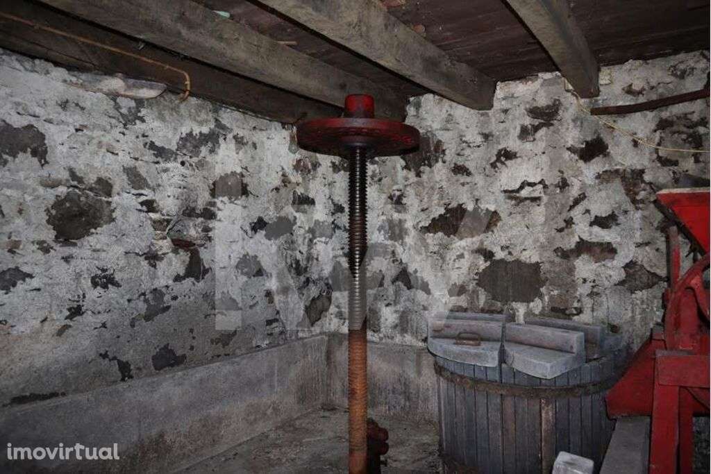 Moradia por recuperar inserido num terreno com a área de 3692 m2 - Grande imagem: 5/13