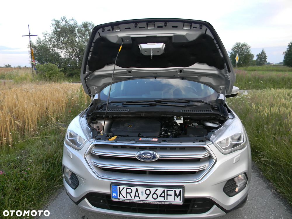 Ford Kuga 1.5 EcoBoost 2x4 Business Edition - 15