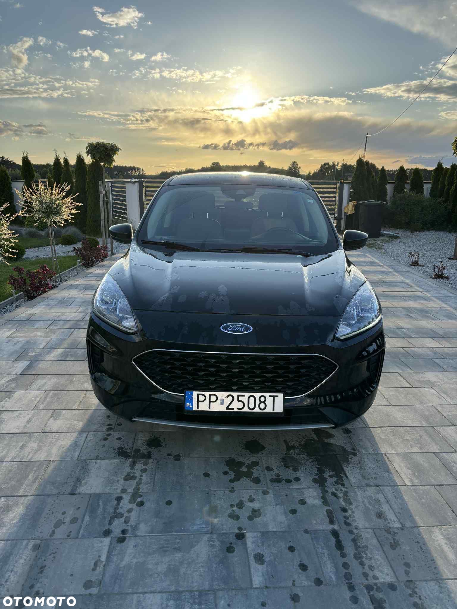 Ford Escape - 1