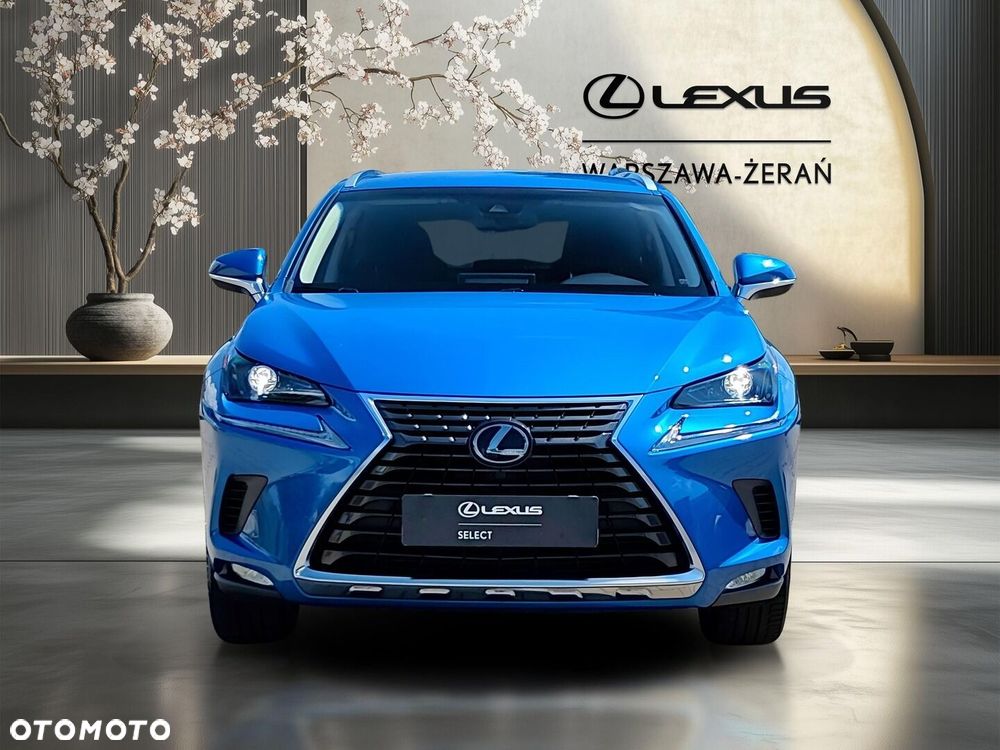 Lexus NX 300 Optimum AWD - 8