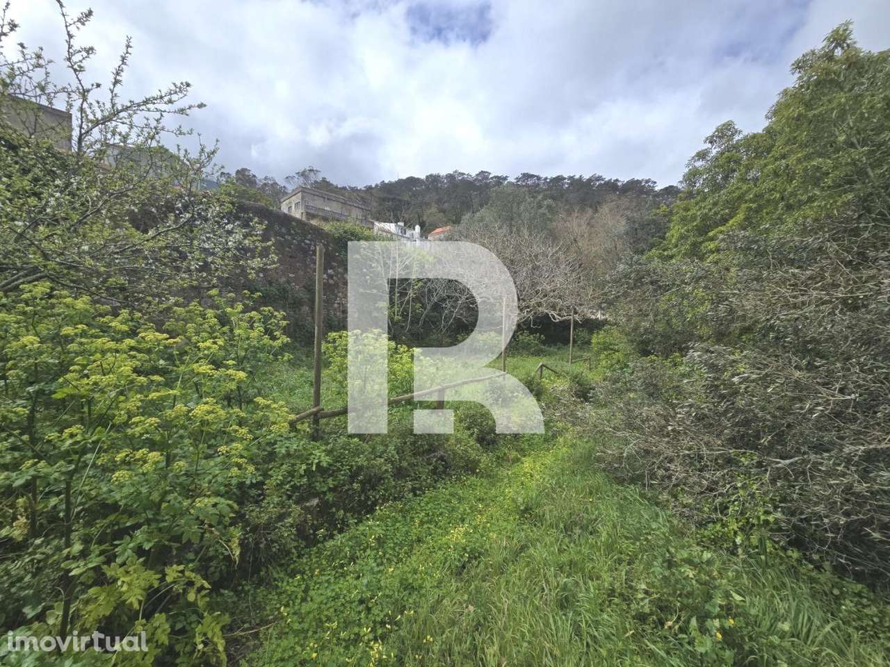 Quinta em S. Pedro de Sintra - Grande imagem: 3/15