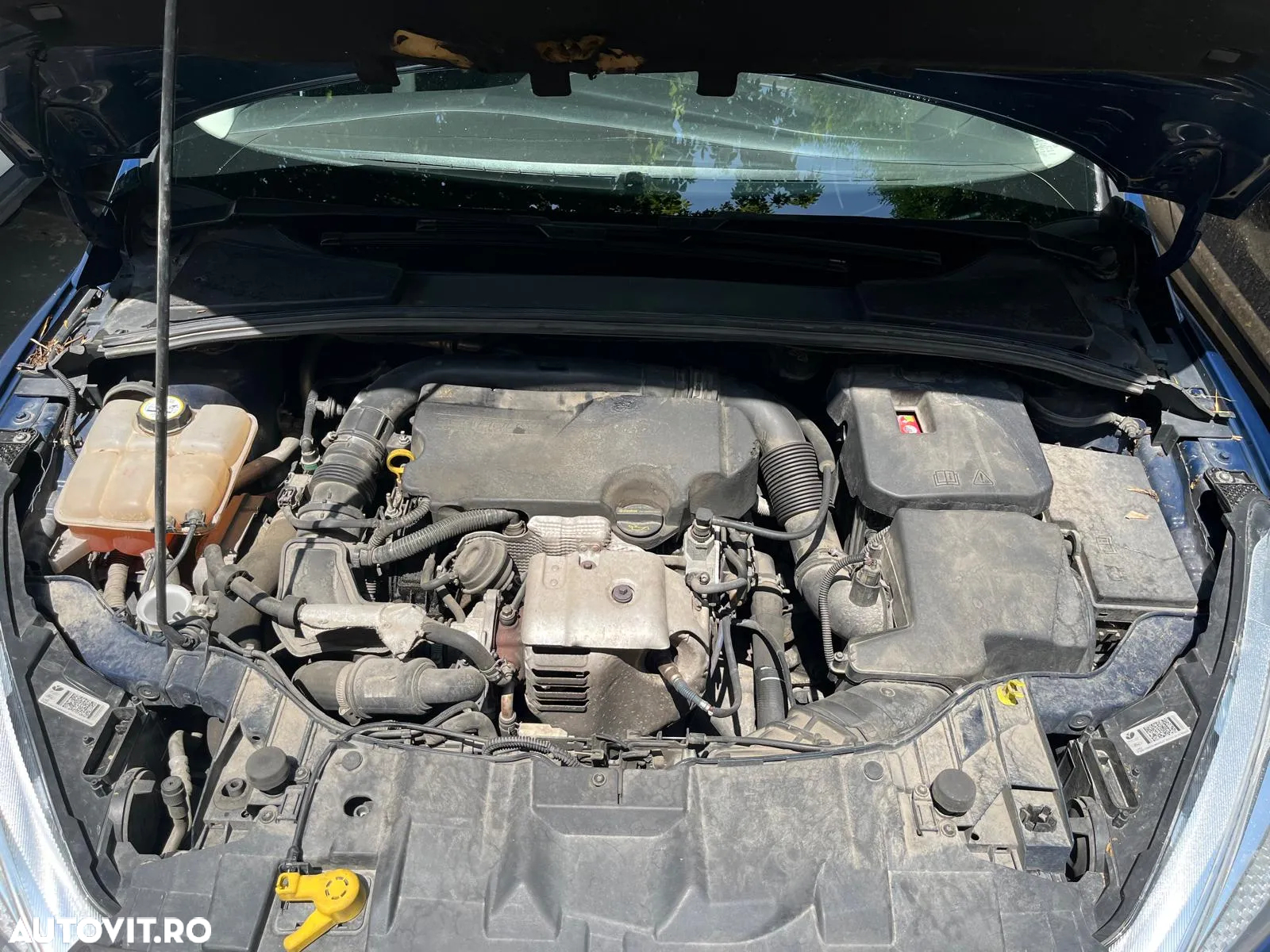 Ford Focus - 10