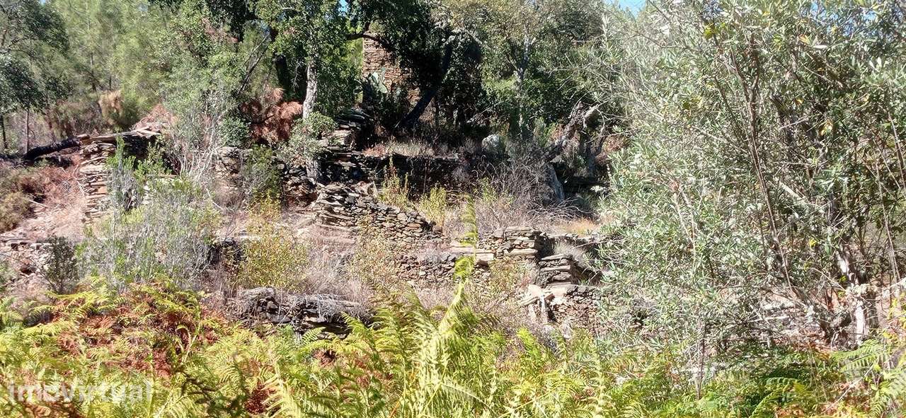 Terreno Rústico  Venda em Cebolais de Cima e Retaxo,Castelo Branco - Grande imagem: 5/14
