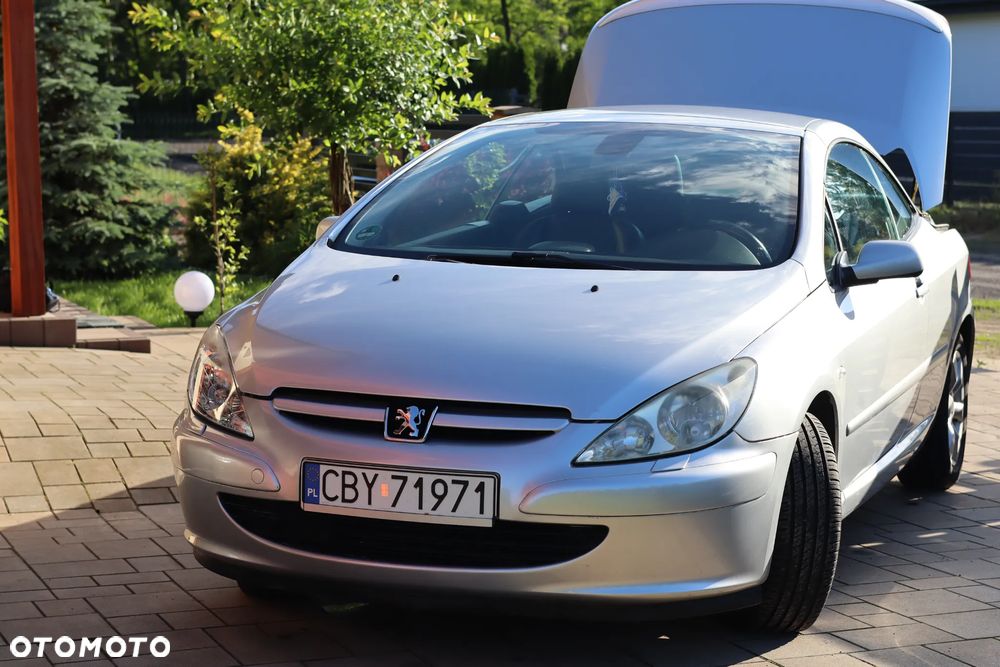 Peugeot 307 2.0 XS - 12