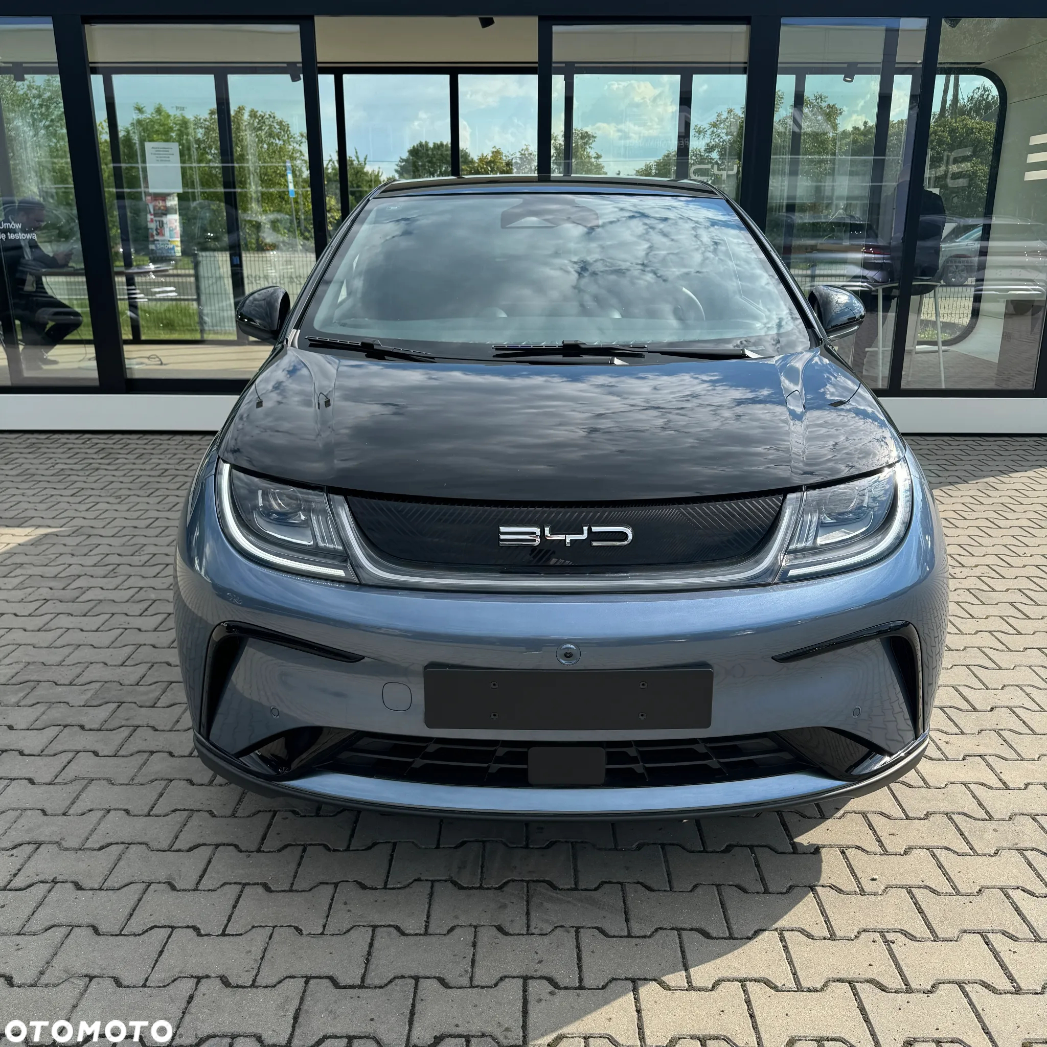 BYD Dolphin Mini - 3