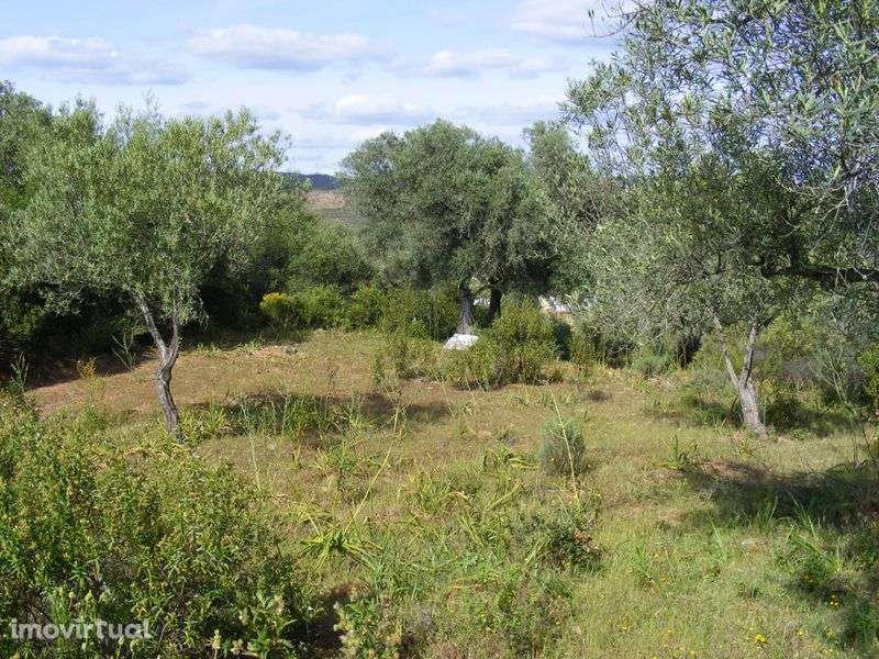 Terreno rústico - Alcoutim - Grande imagem: 5/6
