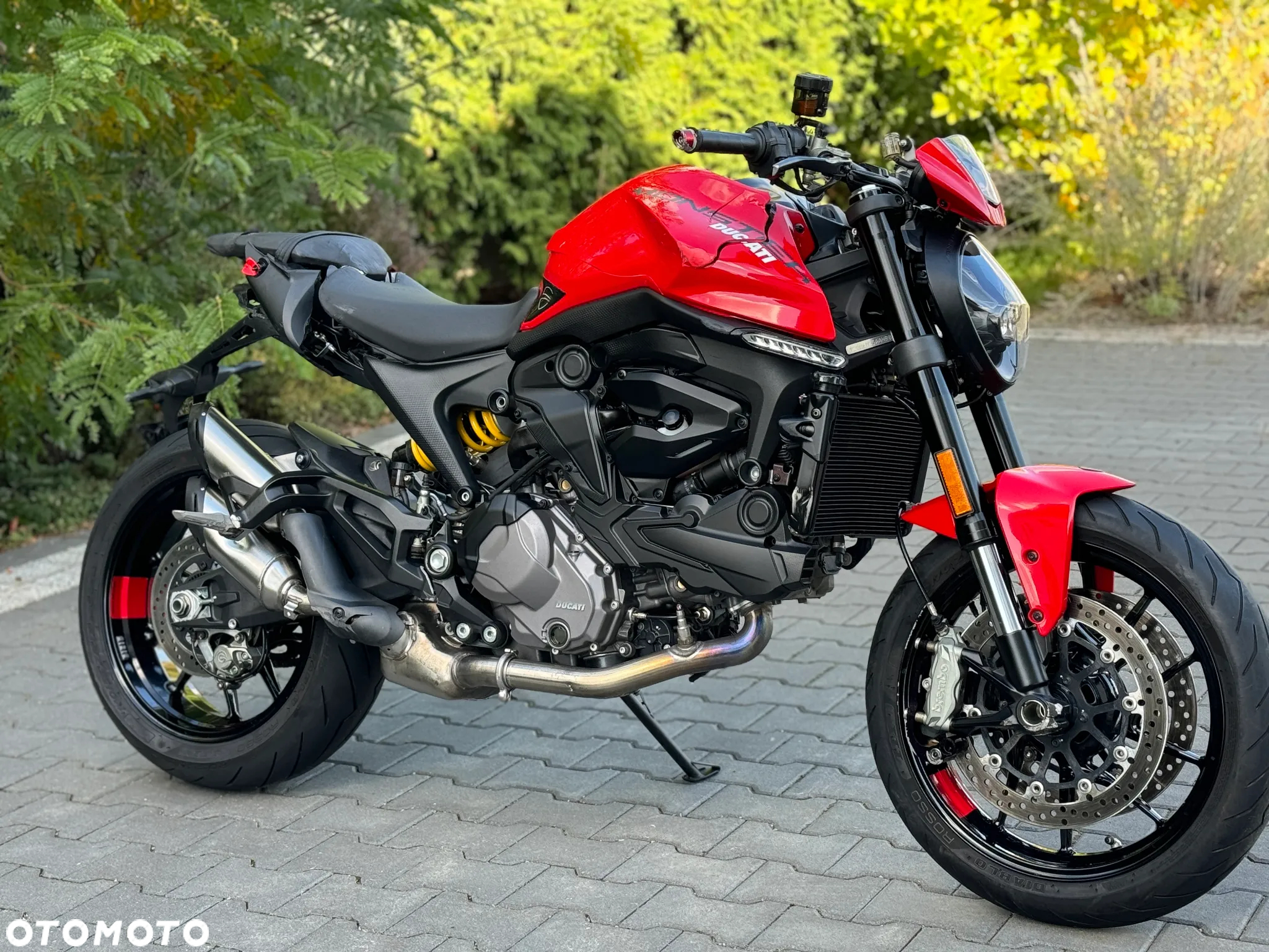 Ducati Monster - 5