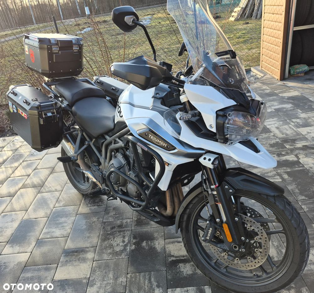 Triumph Tiger - 9