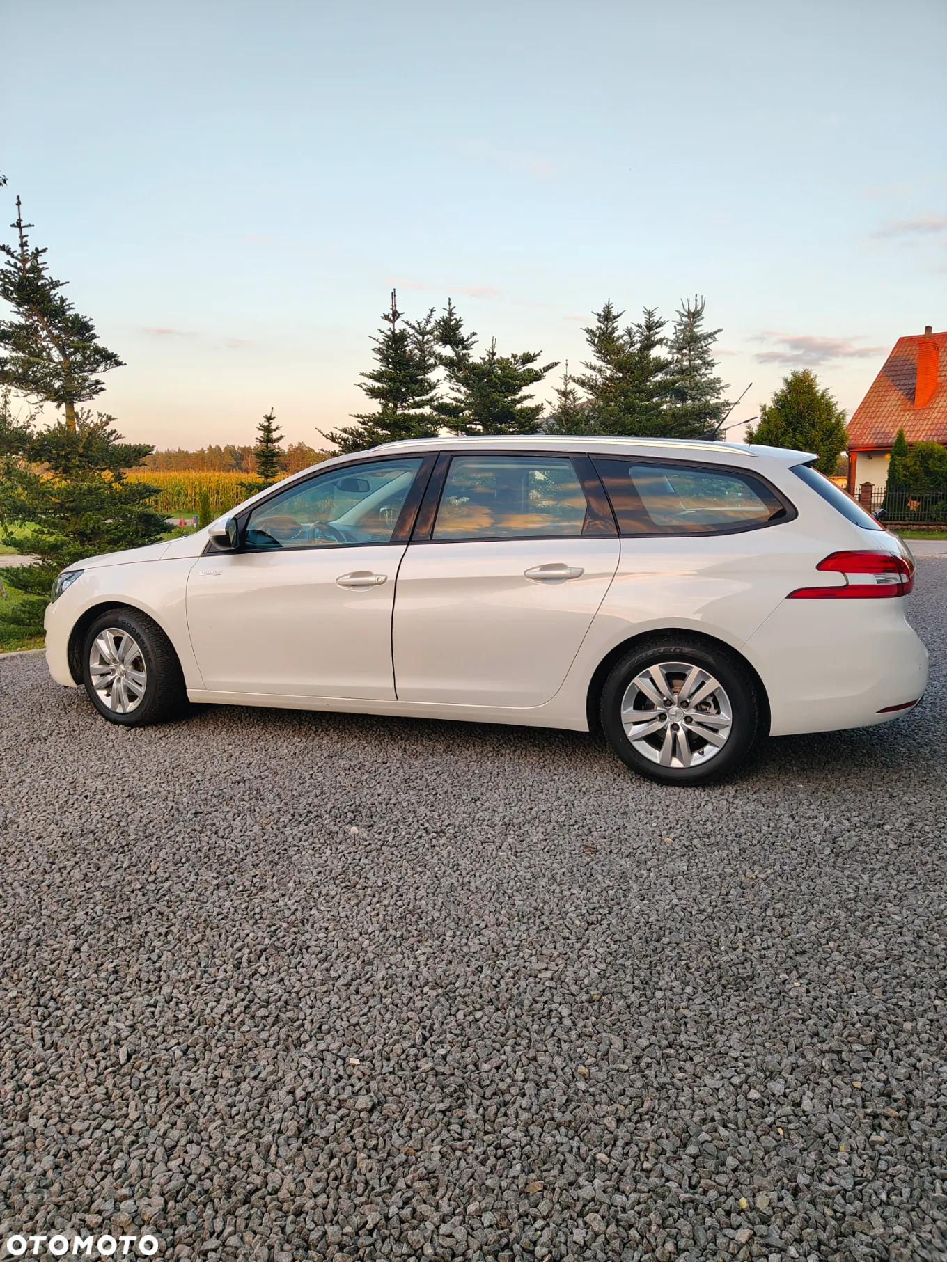 Peugeot 308 1.6 BlueHDi Business Line S&S - 6