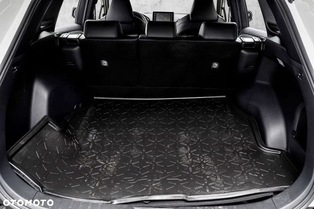 Toyota RAV4 2.5 Hybrid Executive 4x4 - 21