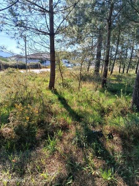 Terreno para construção - Grande imagem: 5/9