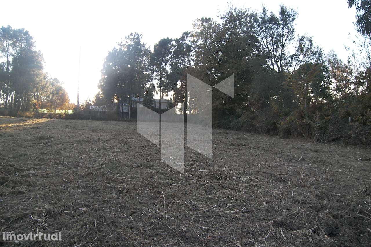 Terreno Para Construção  Venda em Currelos, Papízios e Sobral,Carregal - Grande imagem: 4/9