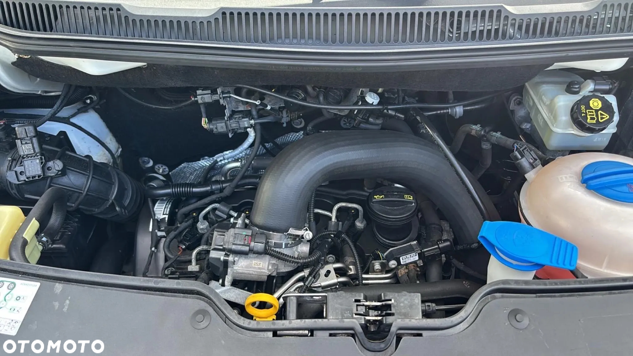 Volkswagen Transporter T6 - 34