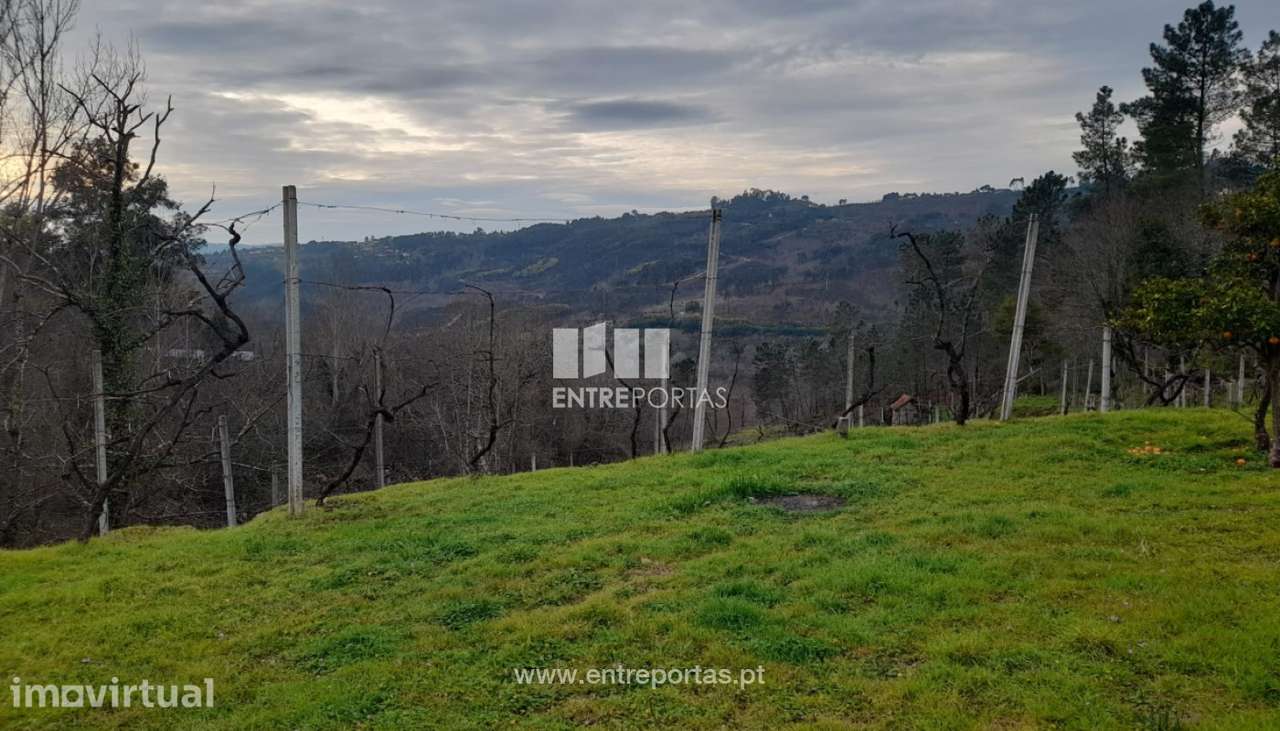Venda Terreno, Gouveia (São Simão), Amarante - Grande imagem: 2/30