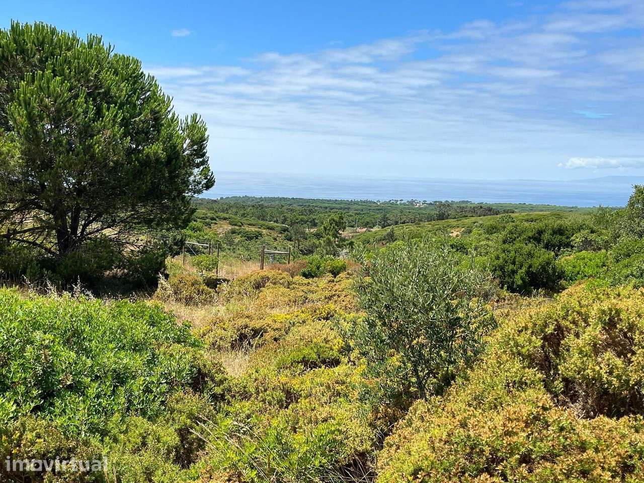 Terreno Misto 1.6 ha, Sesimbra - Grande imagem: 4/11