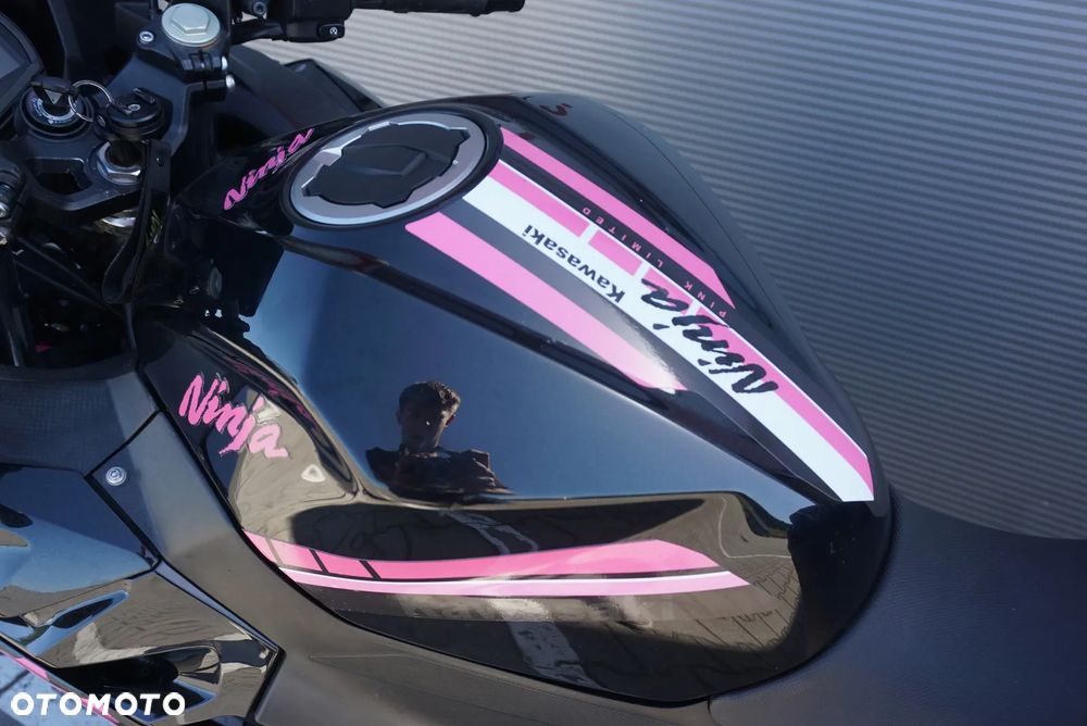 Kawasaki Ninja - 17