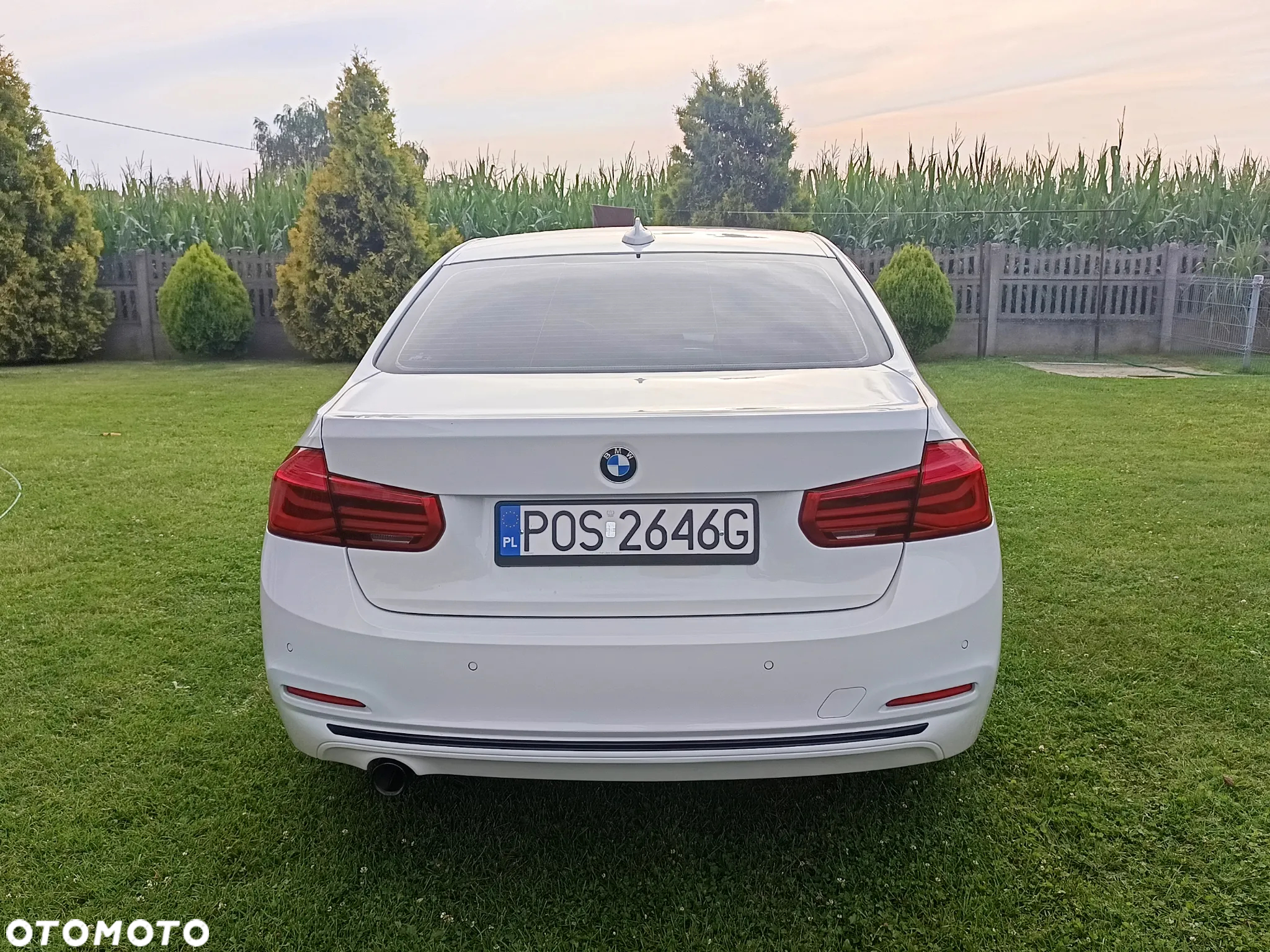 BMW Seria 3 316d M Sport Shadow - 4