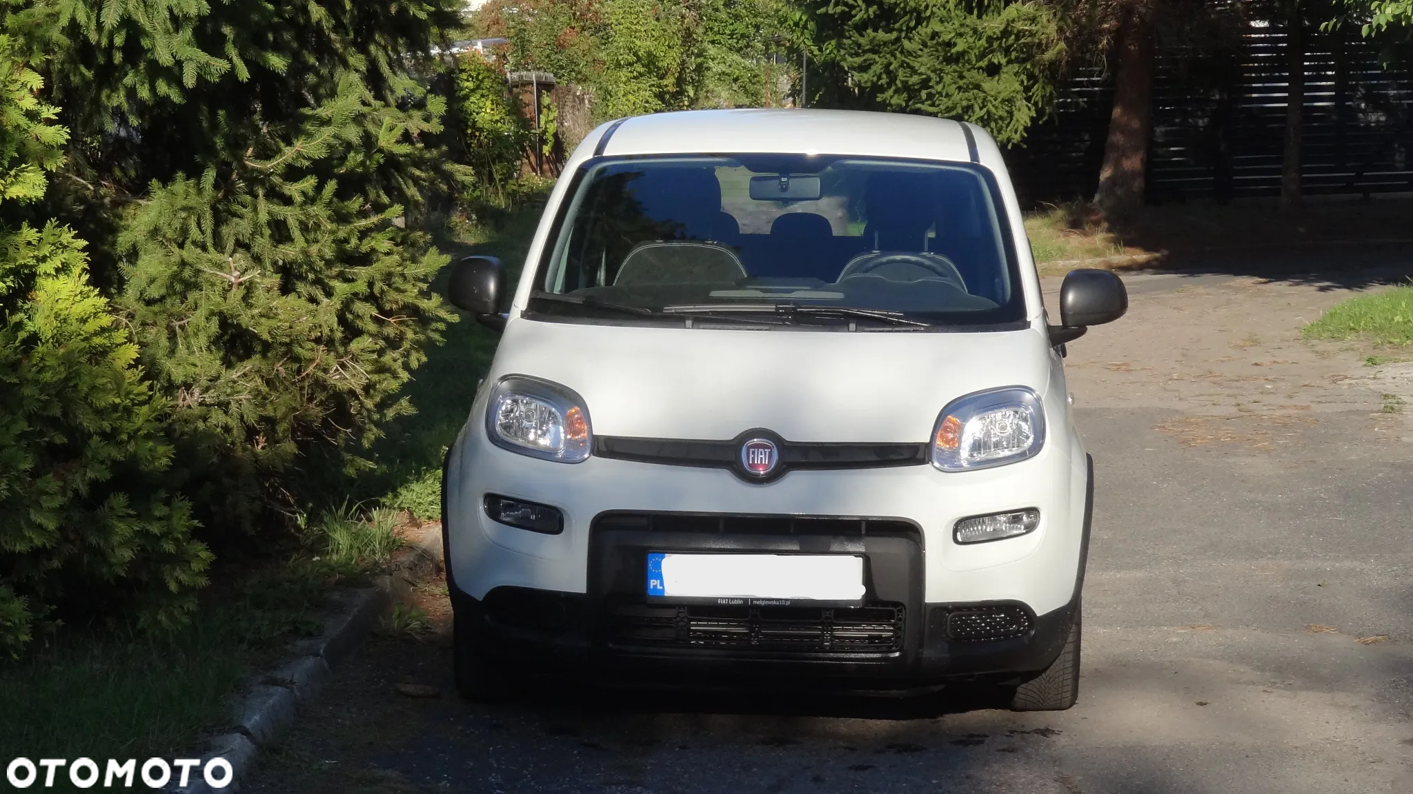 Fiat Panda 1.0 Hybrid - 3
