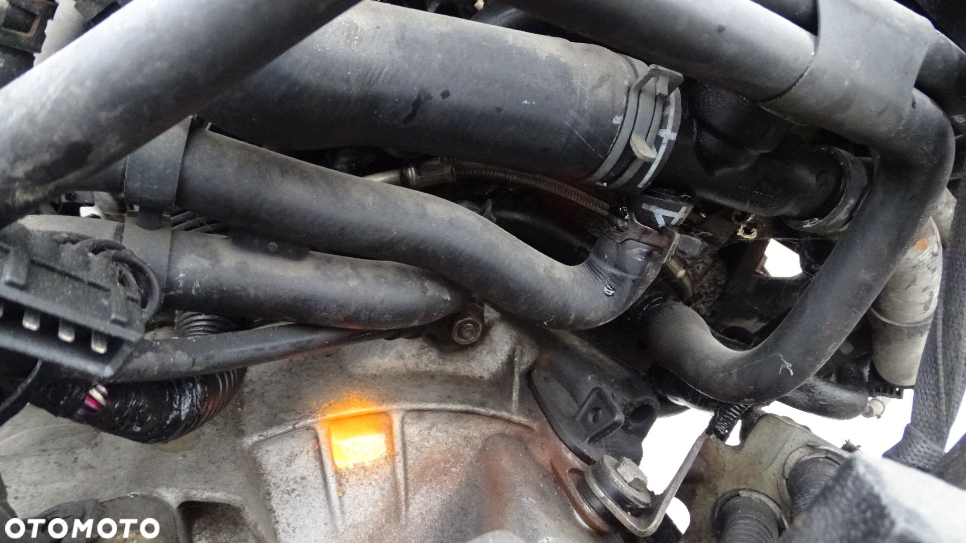 SILNIK KOMPLETNY AGU AUDI A3 8L 1.8T - 10