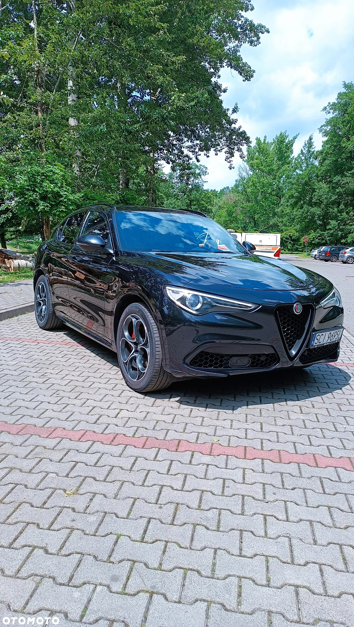 Alfa Romeo Stelvio 2.0 Turbo Veloce Q4 - 20