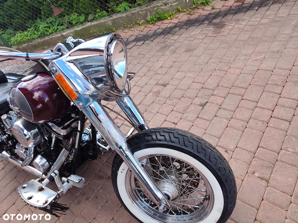 Indian Chief - 12