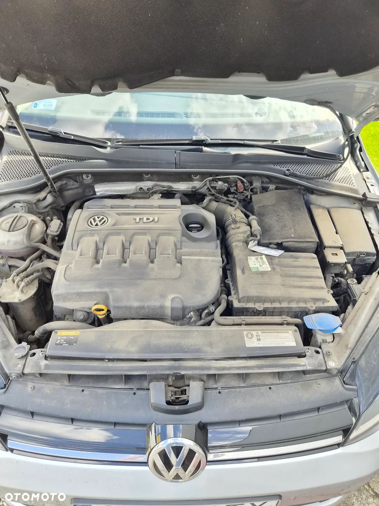 Volkswagen Golf Variant - 19