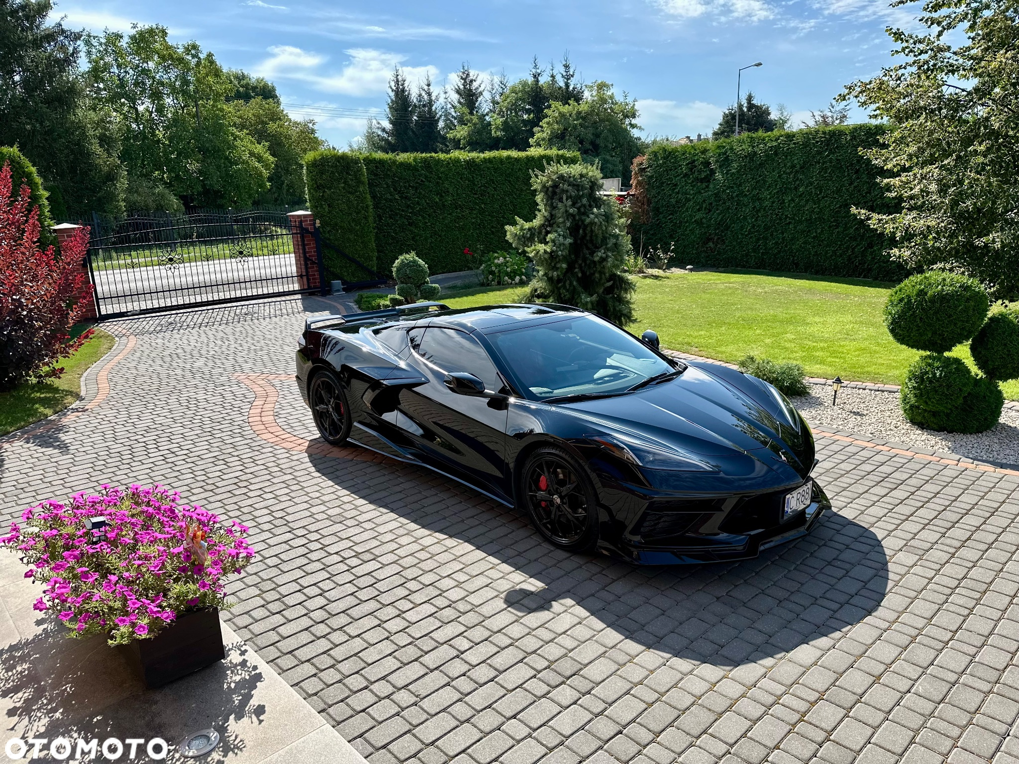 Chevrolet Corvette - 3
