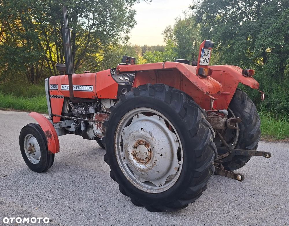 Massey Ferguson FERGUSON 255 - 11