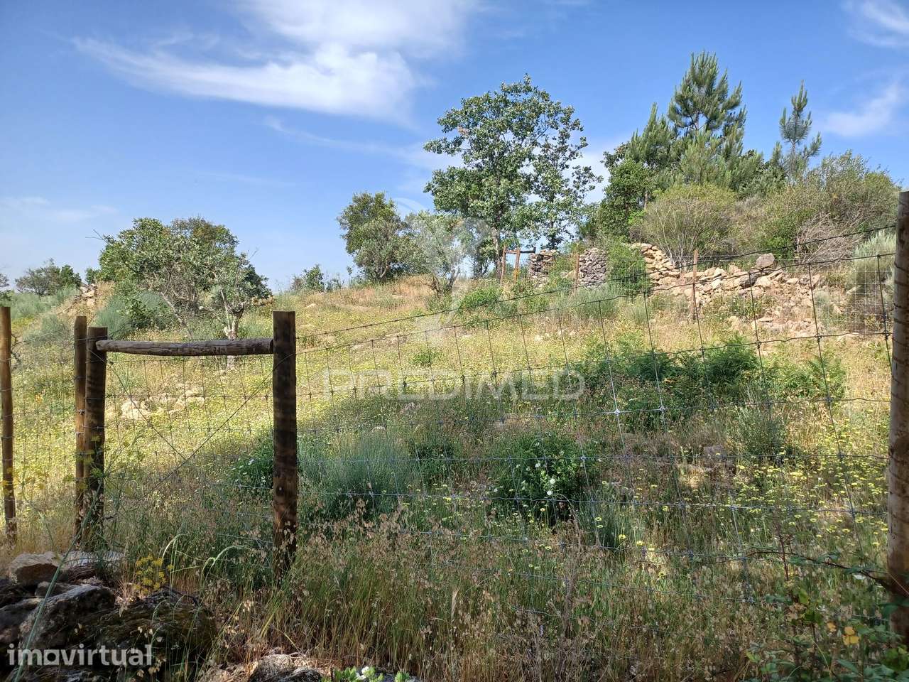 TERRENO RÚSTICO 4,983 HA - Portalegre - Grande imagem: 5/7