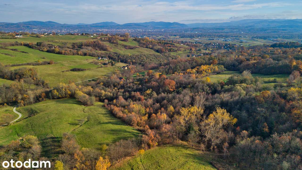 Działka rolna + rolno-leśna  3,5 ha - TRZETRZEWINA - Pełny obrazek: 4/4