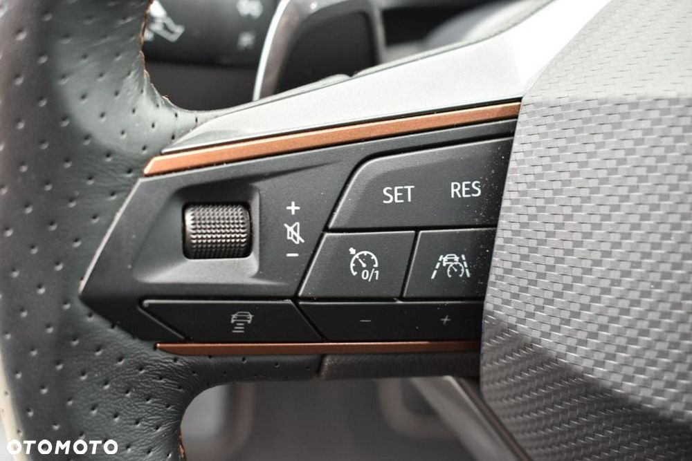 Cupra Formentor - 19