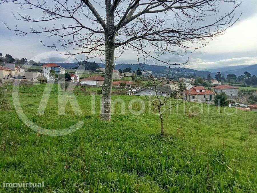 Terreno em São Lourenço do Douro - Marco de Canaveses - Grande imagem: 5/28