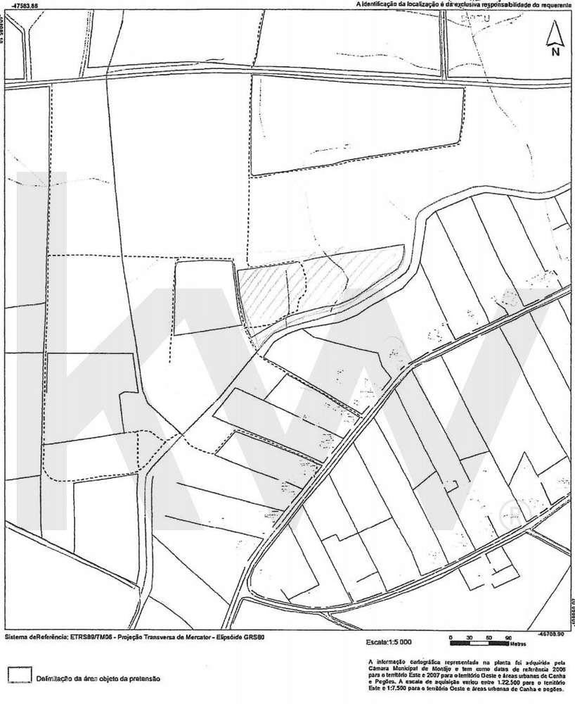 Terreno Rústico 4,7ha em Pegões Velhos - Próximo do futuro Aeroporto - Grande imagem: 5/5