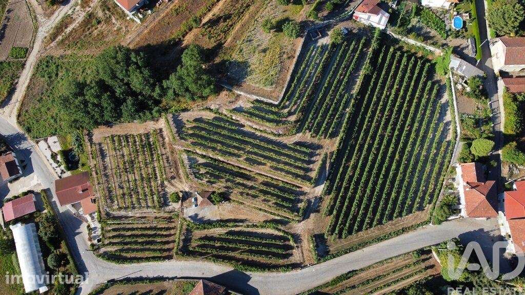 Terreno para construção em Figueiró - Grande imagem: 2/9