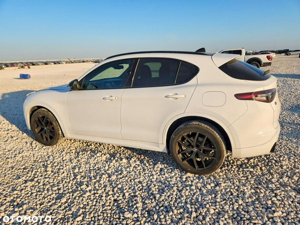 Alfa Romeo Stelvio 2021 photo 5