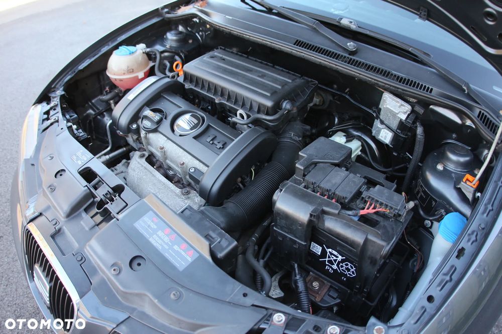 Seat Ibiza - 35