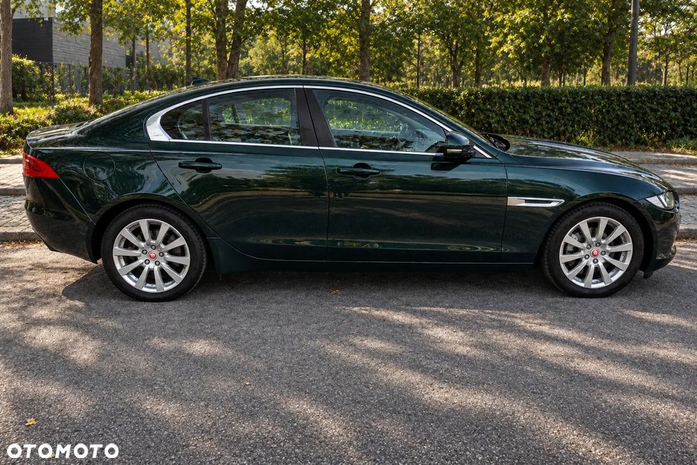 Jaguar Xe 2015 photo 4