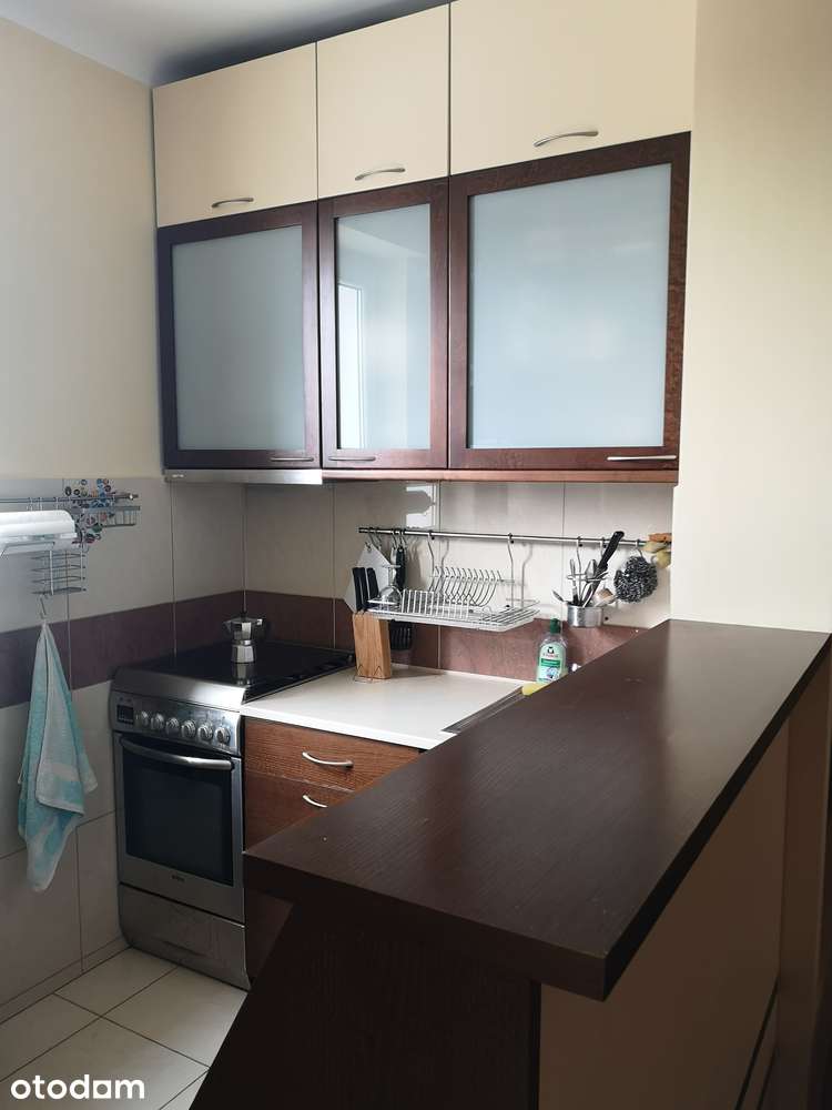 2-pokojowe mieszkanie na Żoliborzu / 250 m. do metra Plac Wilsona